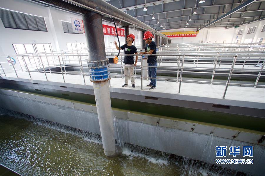（環(huán)境）（4）福州洋里污水廠完成一二三期提標改造通水試運行